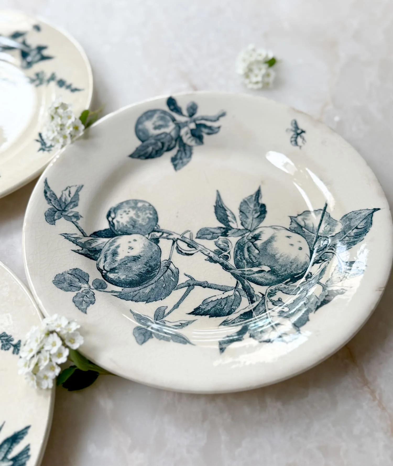 Antique French Faience Blue Fruits Pattern Terre de Fer Plates
